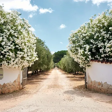Sa Mandracchina Lantställe Olmedo