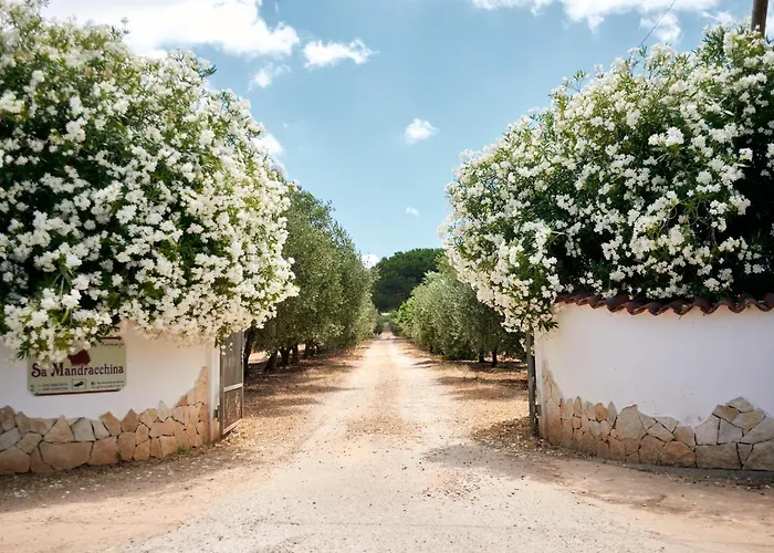 Sa Mandracchina Hétvégi ház Olmedo